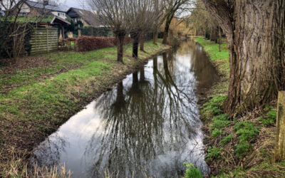 Subsidie opvangen regenwater Provincie Utrecht en Gelderland